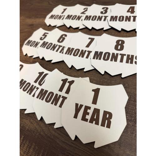 Motocross baby monthly milestone markers for photos, wooden baby month tracker discs, dirtbike themed photo props, dirtbike number plates