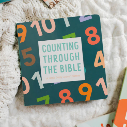 Counting Through the Bible Board Book