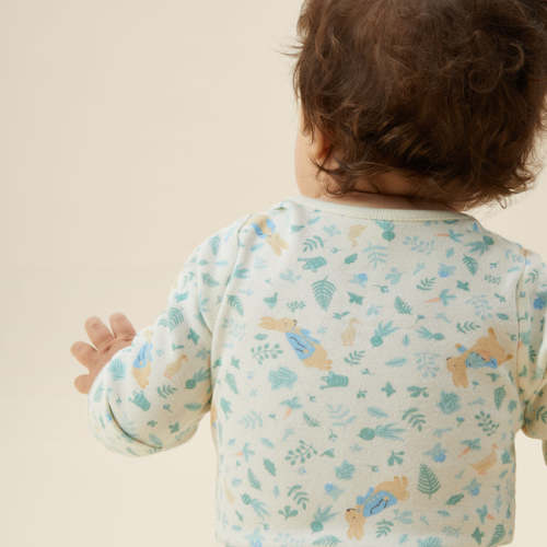 0-3 M Peter Rabbit Long Sleeve Bodysuit Peter Rabbit / Newborn