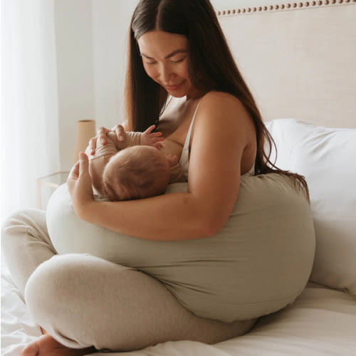 Pregnancy Pillow – WildBird