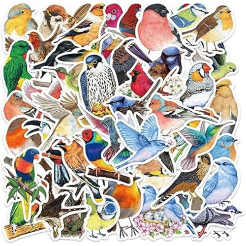 EWEISHEIT 50PCS Colored Bird Stickers, Vinyl Waterproof, for Laptop Skateboard Luggage, Water Bottles, Car Bumper, DIY Party Gift Set
