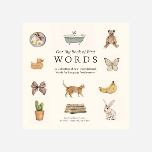 Our Big Book of Words by Tabitha Paige