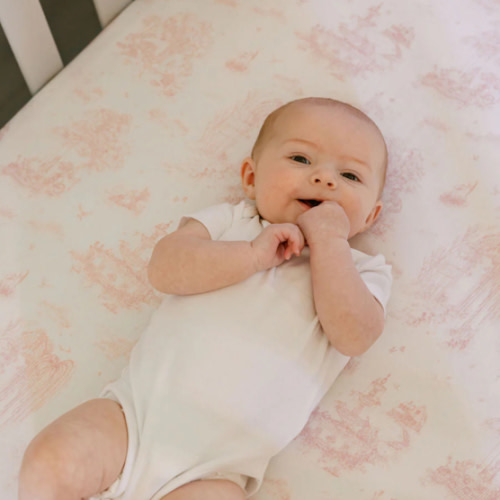 Spring Toile Pink Fitted Crib Sheet