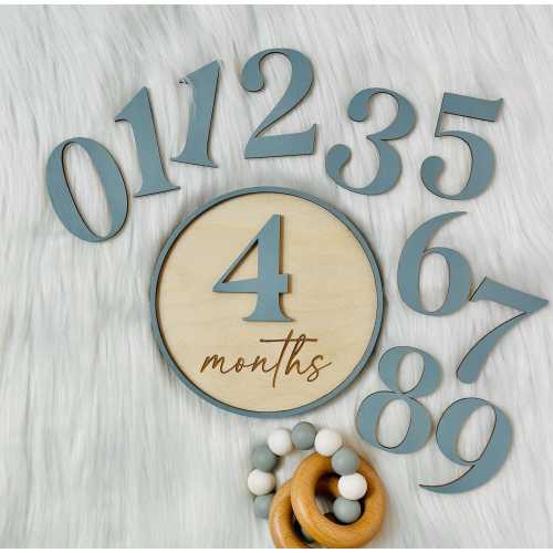 Baby Monthly Milestone Markers | Milestone Disc Sign | Personalized Name Plaque Gift | Newborn Photo Prop