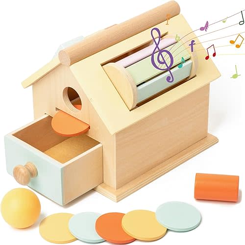 Montessori Toys for Babies 6-12 Months, Wooden Baby Toys, 5 in 1 Wooden Toys for Babies with Object Permanence Box, Ball Coin Drop Toy House, Rainbow Spinning Drum&Shape Sorter for 1 Year Toddlers