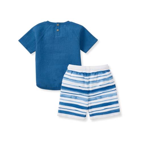 Watercolor Stripes Boy Top & Shorts Set – Burt's Bees Baby