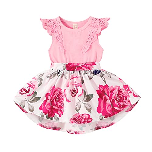 Newborn Infant Baby Girls Dress Floral Flutter Lace Sleeve Dresses Ruffle Romper Skirts Summer Clothes