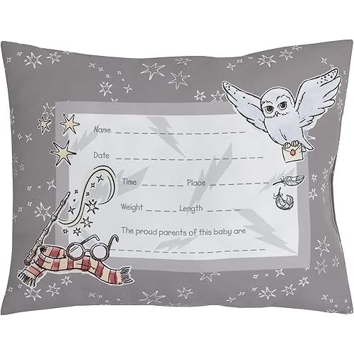 Warner Brothers Harry Potter Magical Moments Grey and White Keepsake Decorative Throw Pillow