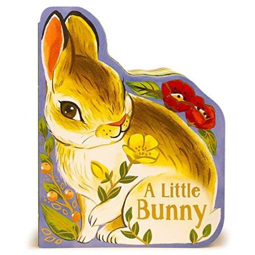 A Little Bunny