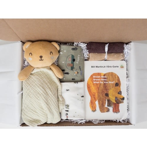 Baby boy gift box, baby boy shower gift, Book, Bodysuits, newborn baby gift, baby gift basket, baby Bear gift basket