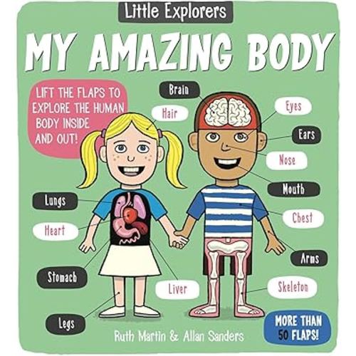 Little Explorers: My Amazing Body
