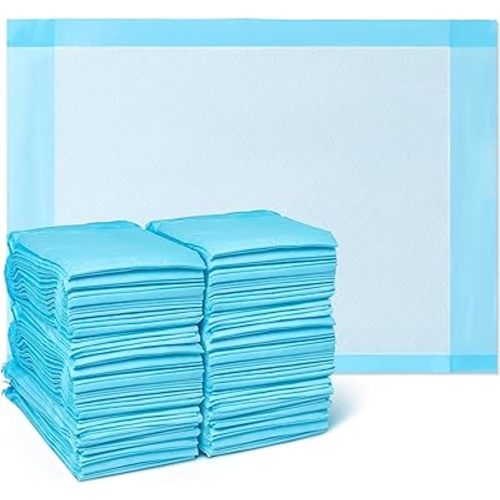 Medline Light Absorbency Underpad, 17" x 24", 100 Count, Disposable Chucks, Bed, Furniture & Surface Protection, For Kids, Adults, Elderly, Puppy Pad, Changing Pad, Incontinence Pee Pad