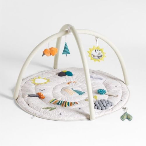 Crate & Kids Busy Baby Activity Gym Play Mat