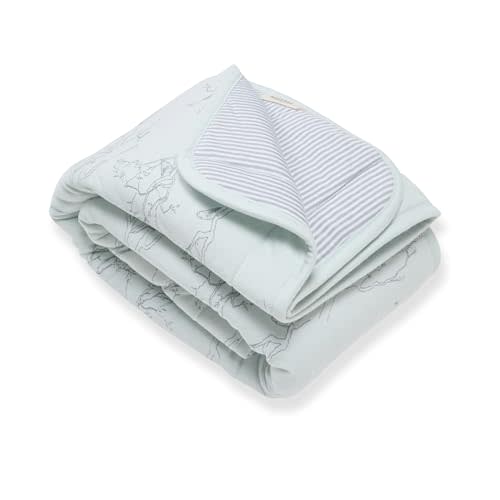 Burt's Bees Baby Infant Reversible Blanket, 100% Organic Cotton Nursery Blanket, Breathable Nursery Bedding, 30" W x 40" L
