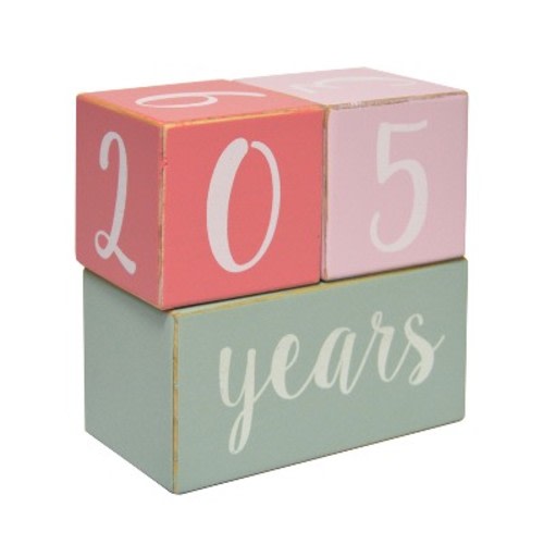 Milestone Wood Blocks - Cloud Island™ Pink