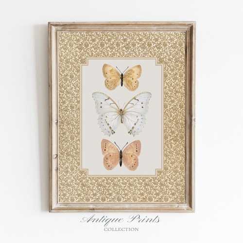 Vintage Butterfly Art Print, Cottagecore Neutral Decor, Digital PRINTABLE Download, Antique Moth Wall Art, Butterfly Drawing for Nursery