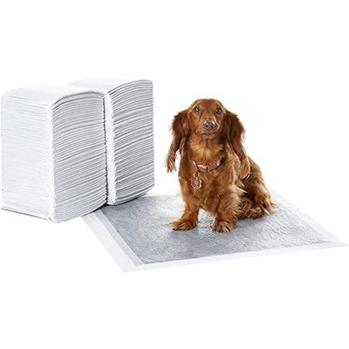 Amazon Basics Leak-Proof Puppy Training Pads, Odor Control, Quick-Dry Surface, Regular, 120-Pack, Gray