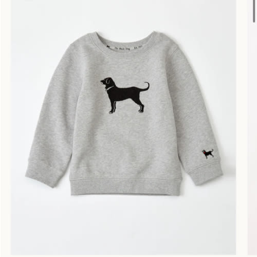 Lil Kids Classic Crewneck Sweatshirt – The Black Dog