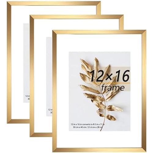 Set of 3 12x16 Picture Frame Gold Frames can Display 8.5x11 Picture with Mat or 12x16 Without Mat on the Wall