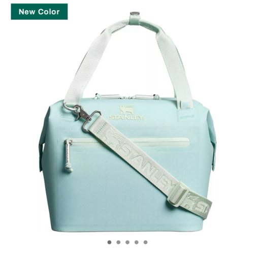 Stanley All Day Julienne Mini Cooler | DICK'S Sporting Goods