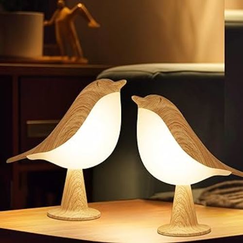 2 Pack ird Small Desk Lamp, Dimmer Kids Night Light for Bedroom, Cordless Table Lamp with 3 Color Temperature and Touch Sensor, Rechargeable Bedside lamp, Hummingbird Lamp