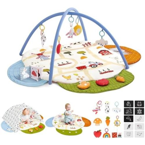 Baby Gym Play Mat, 4-in-1 Tummy Time Mat & Farm-Themed Activity Gym