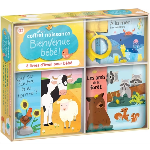 Bienvenue Bébé! Mon Coffret De Naissance Book By Corinne Delporte, (Paperback) | Indigo