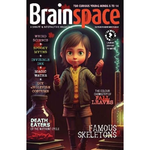 Brainspace