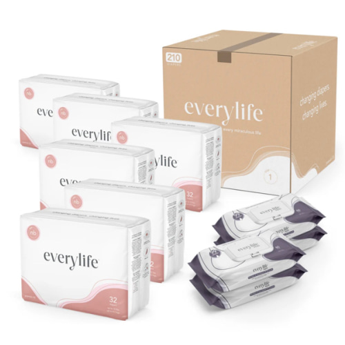 Gift a Subscription (Diaper and Wipes Bundle)