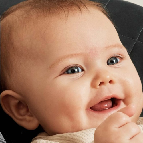 BabyBjörn Bouncer Bliss