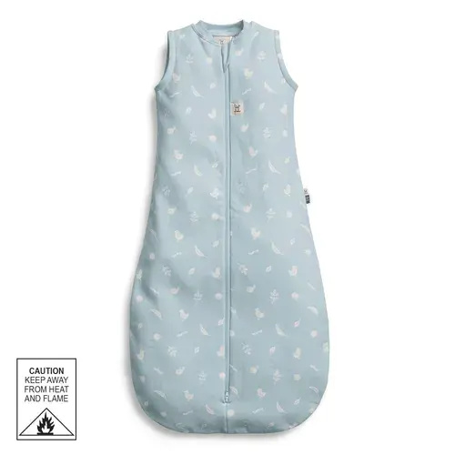 ergoPouch Sleeping Bag 1.0 Tog Ducks Size 8-24 Months | Baby Bunting AU