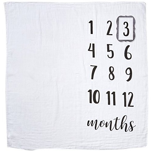 Mud Pie Milestone Blankets (Monthly Milestone Blanket)