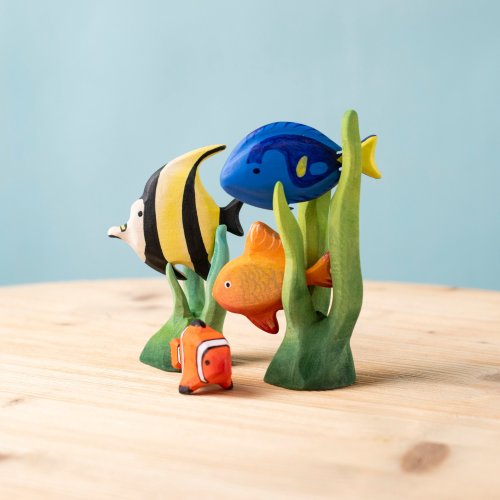 Tropical Fishes SET