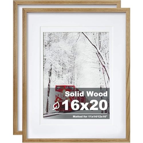 Egofine 16x20 Poster Frame Set of 2 Solid Wood Frame with Plexiglass Matted for 11x14/12x16 for Wall Mounting Hanging Picture Frame Vertically or Horizontally, Carbonization