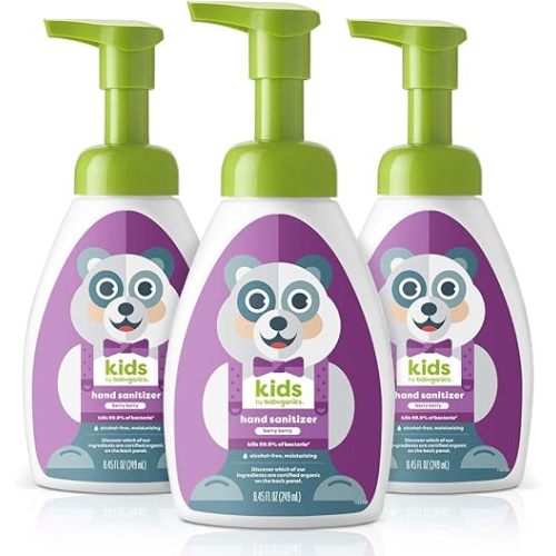 Babyganics Foaming Pump Hand Sanitizer, Alcohol Free, Berry Berry, Kills 99.9% of Common Bacteria, Moisturizing, 8.45 Fl Oz (Pack of 3)