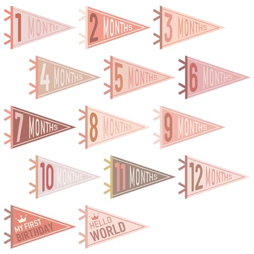 VitalCozy 14 Pcs Baby Milestone Pennant Signs Monthly Milestone Banner Flags Pennant Triangle Banner Age Flag Signs for Boy Girl Newborn Birthday Party Decor(Vivid Colors)