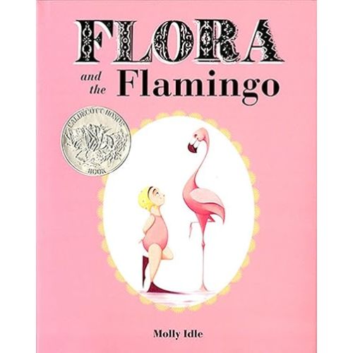Flora and the Flamingo Hardcover – Lift the flap, February 5, 2013