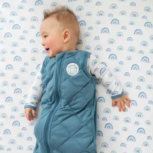 Dreamland Baby Dream Weighted Sleep Sack 0-6 mos Ocen Blue color
