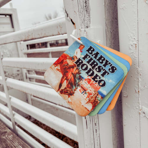 The Baby's First Rodeo Softbook