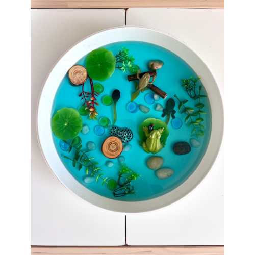Pond Life Cycle Sensory Kit And Water Play