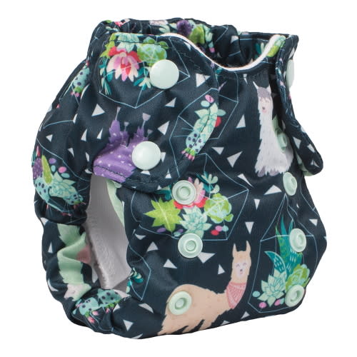 Smart Bottoms Born Smart 2.0 AIO Organic Diapers - Tina