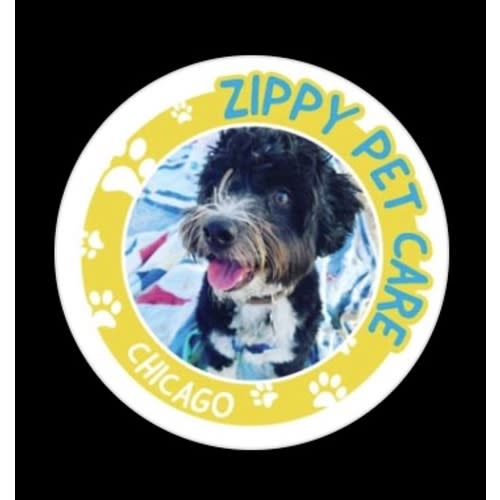 Zippy - the best dogwalker&trainer, Sydney! - $30, $50, $75, $100, $200