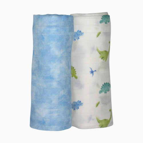 Bamboo Little Bamboo Swaddle Set - Dinosaur