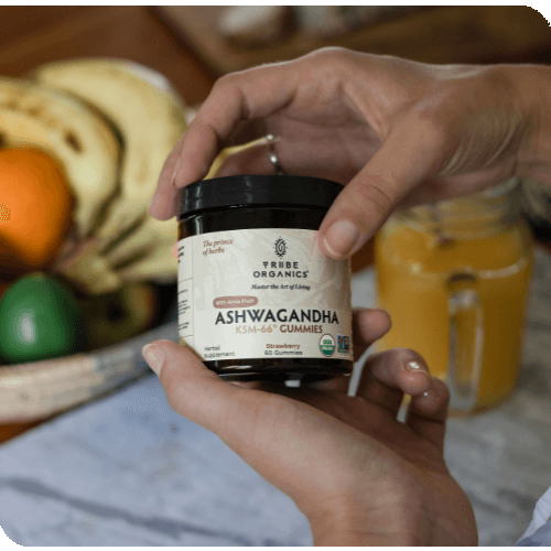 New Mom Bundle | TRIBE ORGANICS