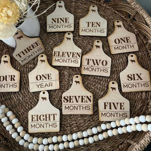 Cow Tag Baby Milestone Markers: Western Wood Monthly Milestones