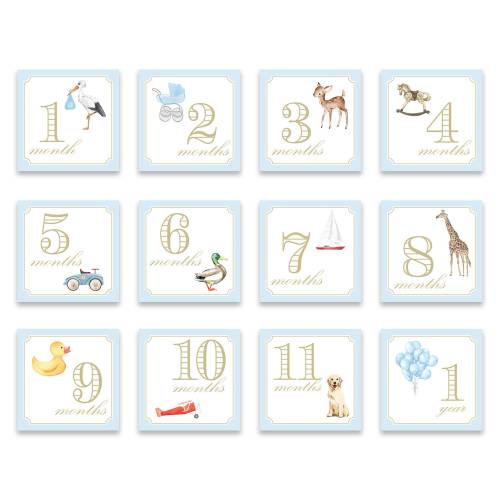 Boy Milestone Cards | Blue | Watercolor | Monthly Photos