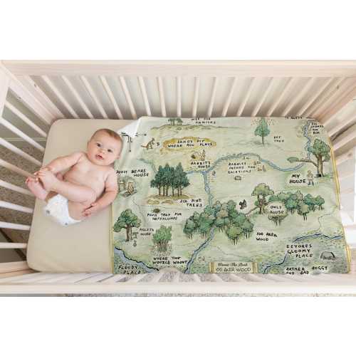 100 Acre Wood Map Baby Blanket with BEIGE MINKY