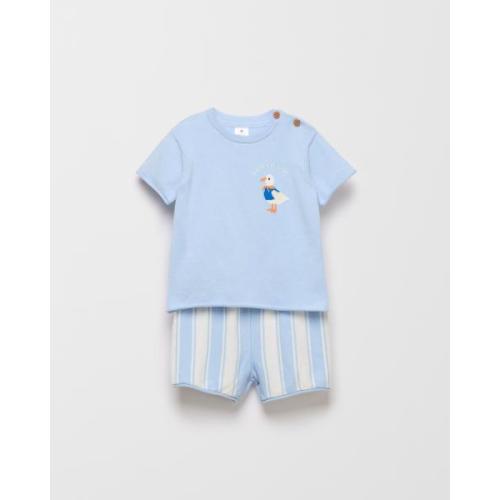 Organic Cotton Baby Top and Short Set 2 Piece Set
