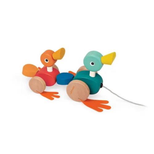Duck family to take for a walk