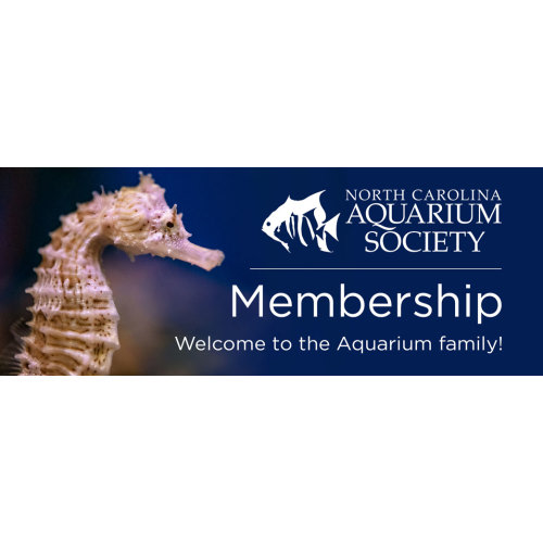 Family Membership